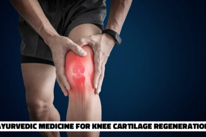 Ayurvedic Medicine for Knee Cartilage Regeneration